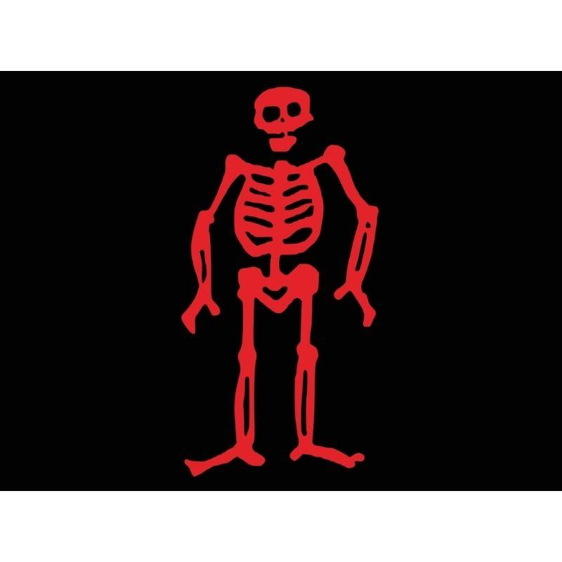 Skeleton Flag