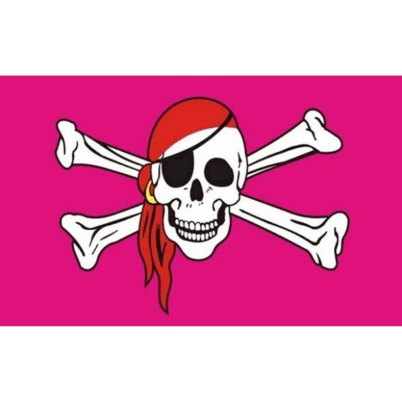Pirate Pink Flag