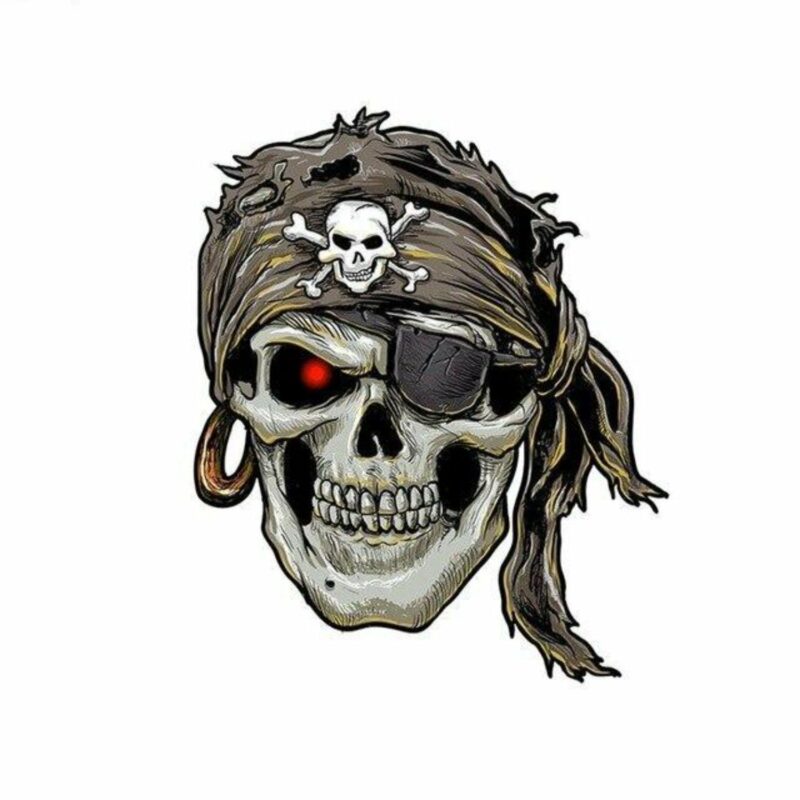 Pirate Skull Transfer