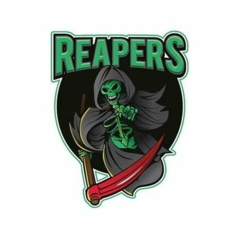 Soul Reaper Transfer
